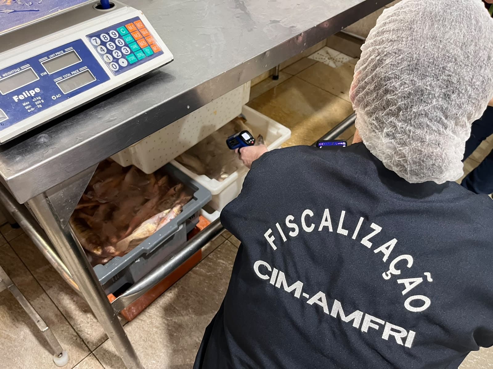 Dono de peixaria é preso em BC durante operação que joga mais de 10 toneladas de pescados no lixo
